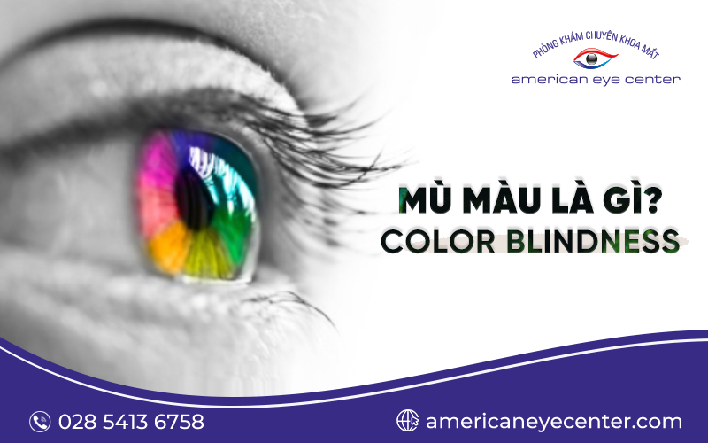 What is color blindness?